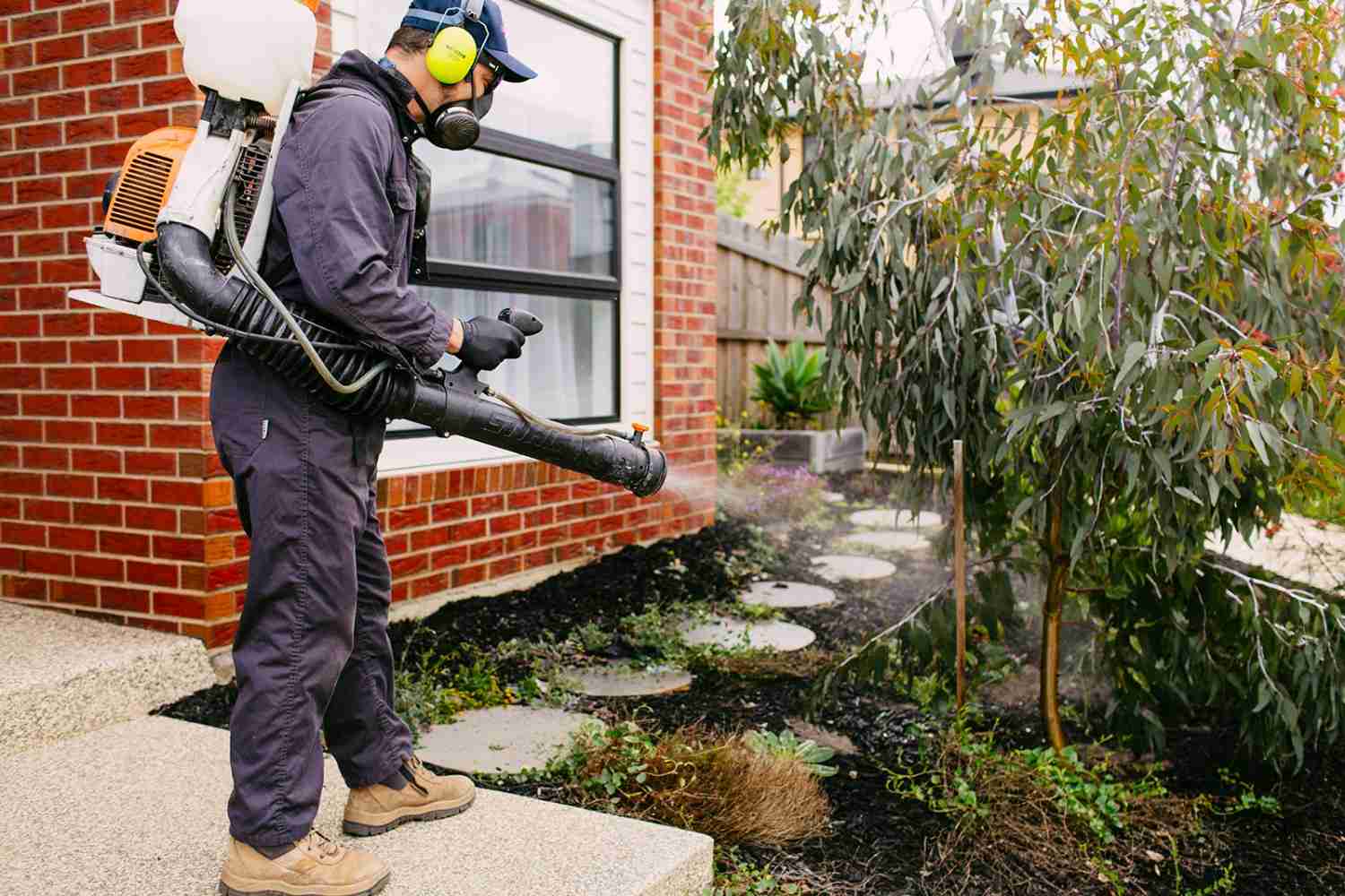 Read more about the article What Happens During Blackheath Pest Control